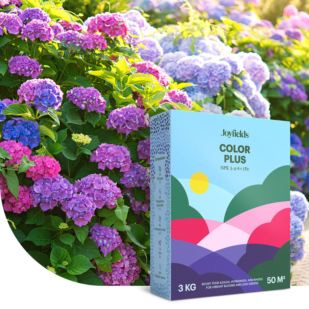  Color Plus – Rhodo, Hortensia En Azalea Meststof - 3 Kg