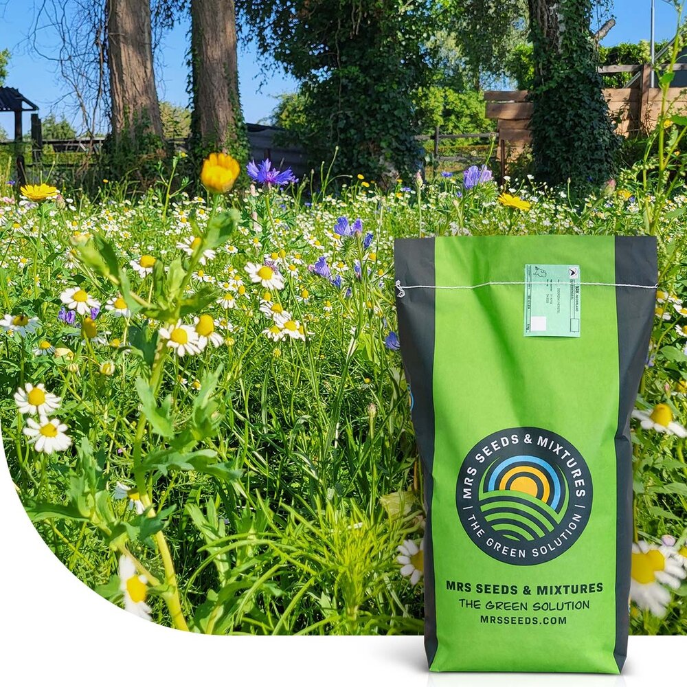  Flower Field - Graszaad Met Bloemenmix