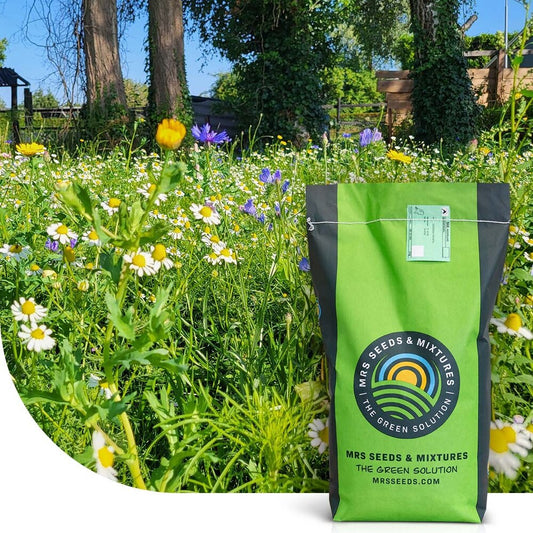  Flower Field - Graszaad Met Bloemenmix