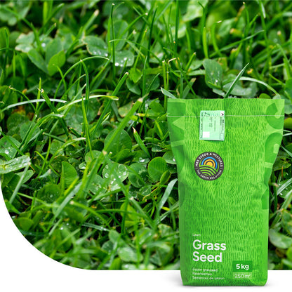  Clover Lawn - Graszaad Met Microklaver