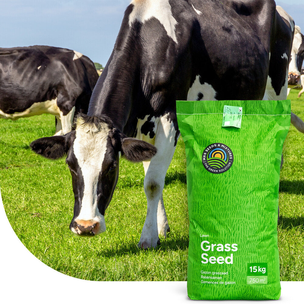  Graze - BG3 | Blijvend Grasland 15KG