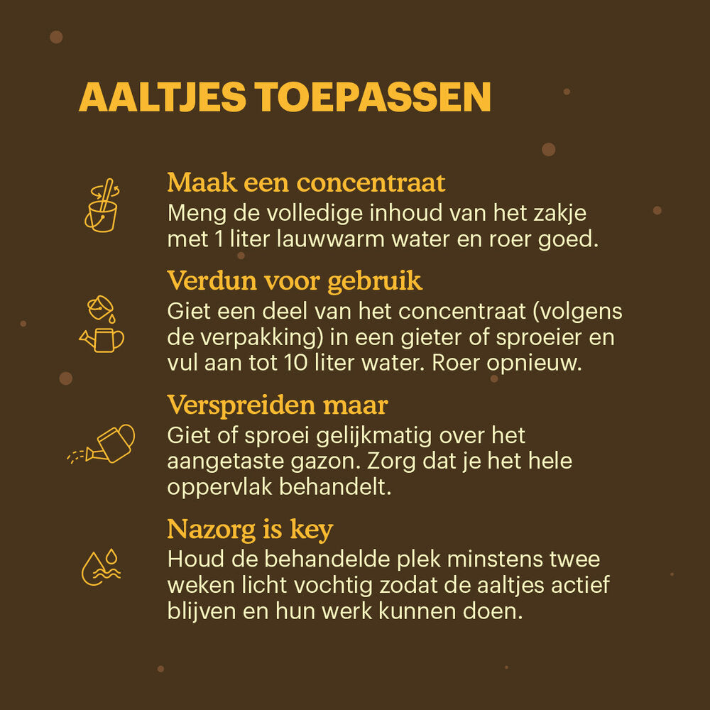 Aaltjes Tegen Engerlingen (Heterorhabditis Bacteriophora)