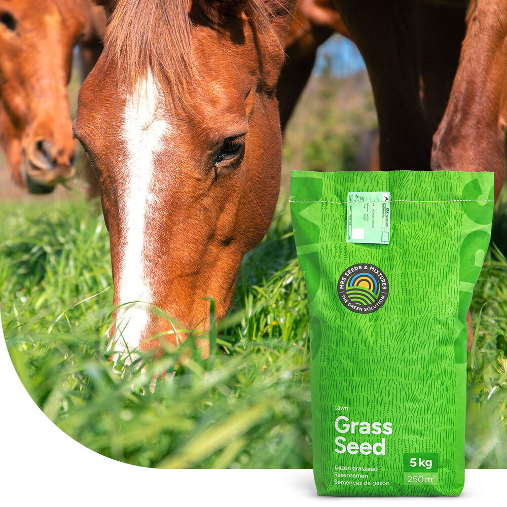 Horse - Recovery Mix | Herstel Paardenweide