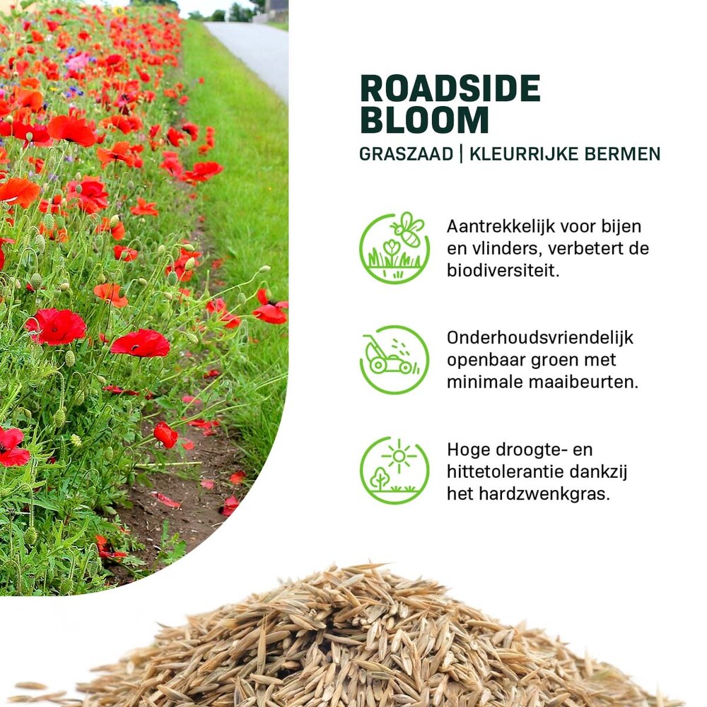  Roadside Bloom - Graszaad | Kleurrijke Bermen