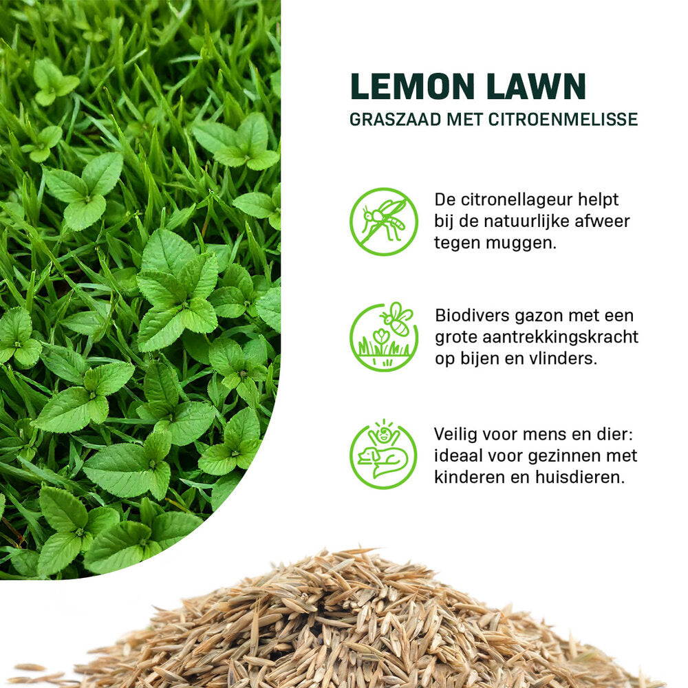  Lemon Lawn - Graszaad Anti-Muggen Gazon