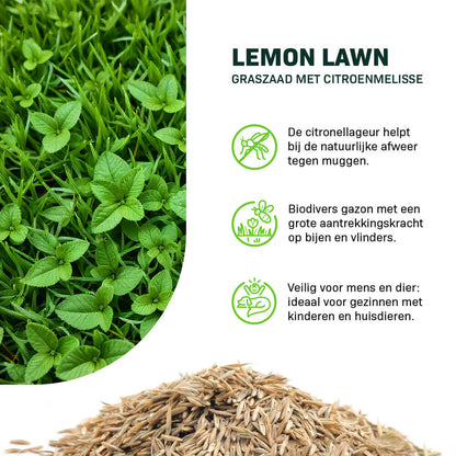  Lemon Lawn - Graszaad Anti-Muggen Gazon