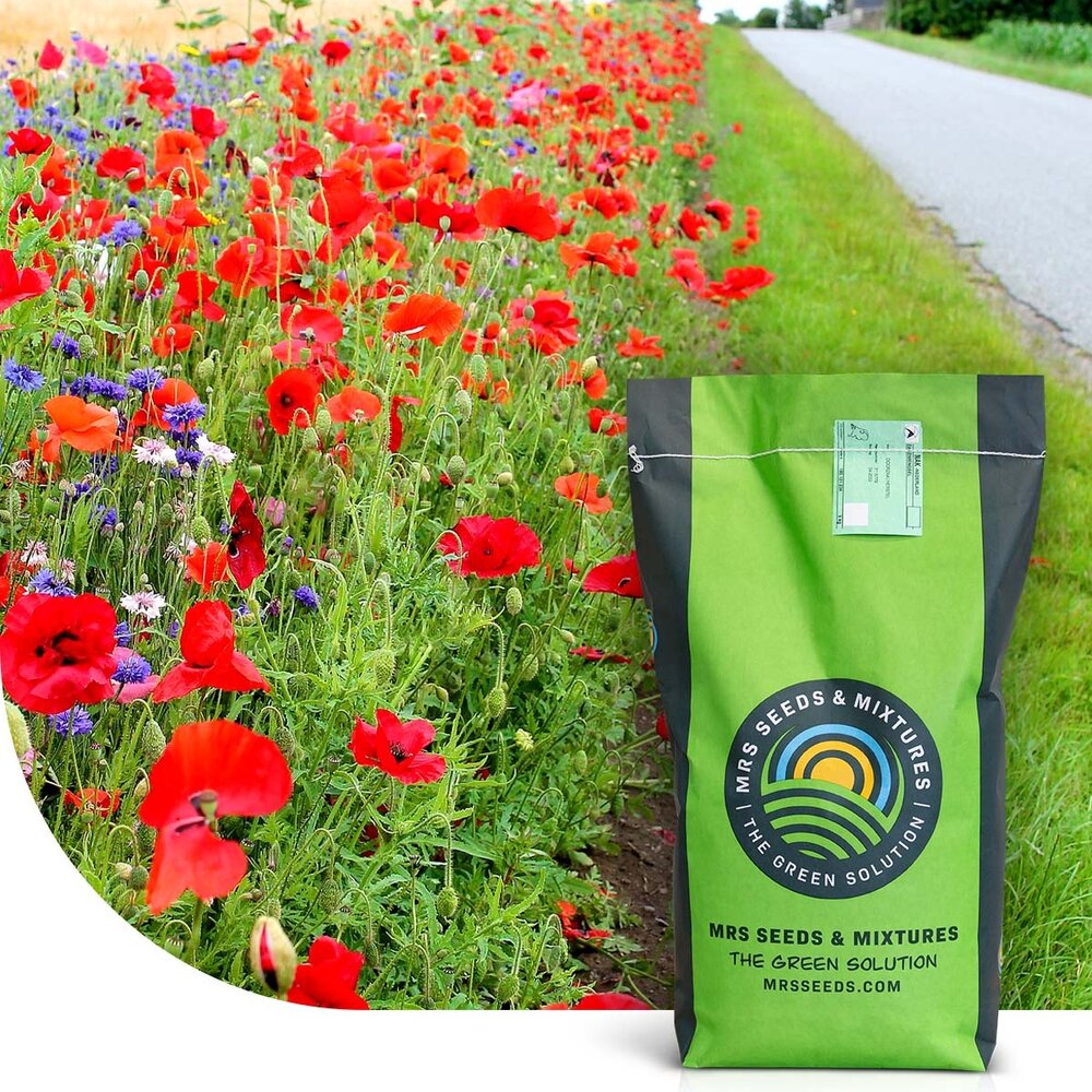 Roadside Bloom - Graszaad | Kleurrijke Bermen