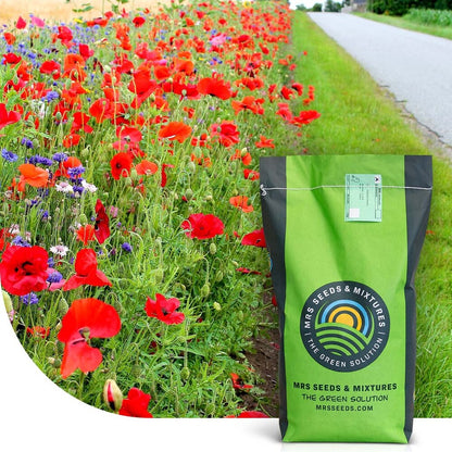  Roadside Bloom - Graszaad | Kleurrijke Bermen