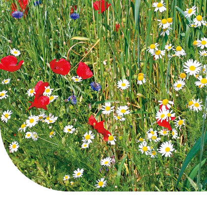  Weidebloemenmengsel