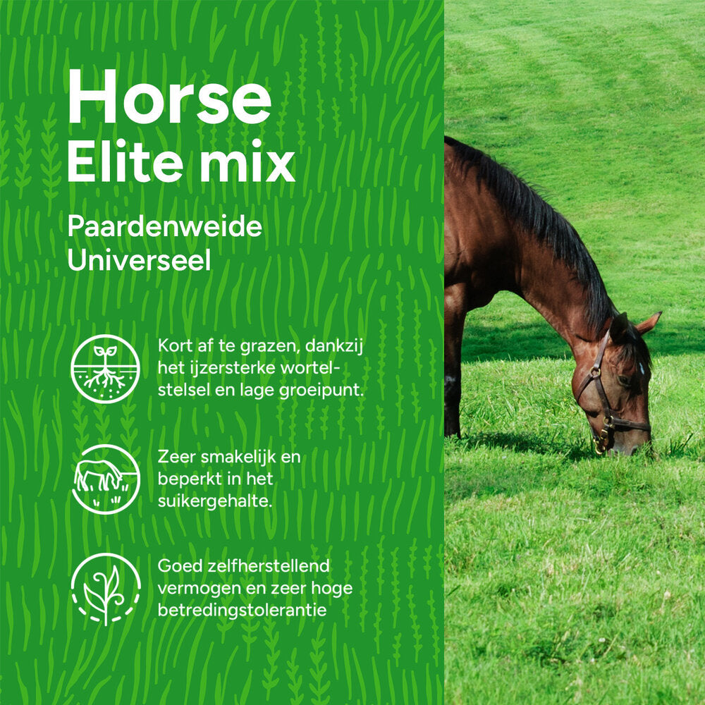  Horse - Elite Mix | Paardenweide Universeel