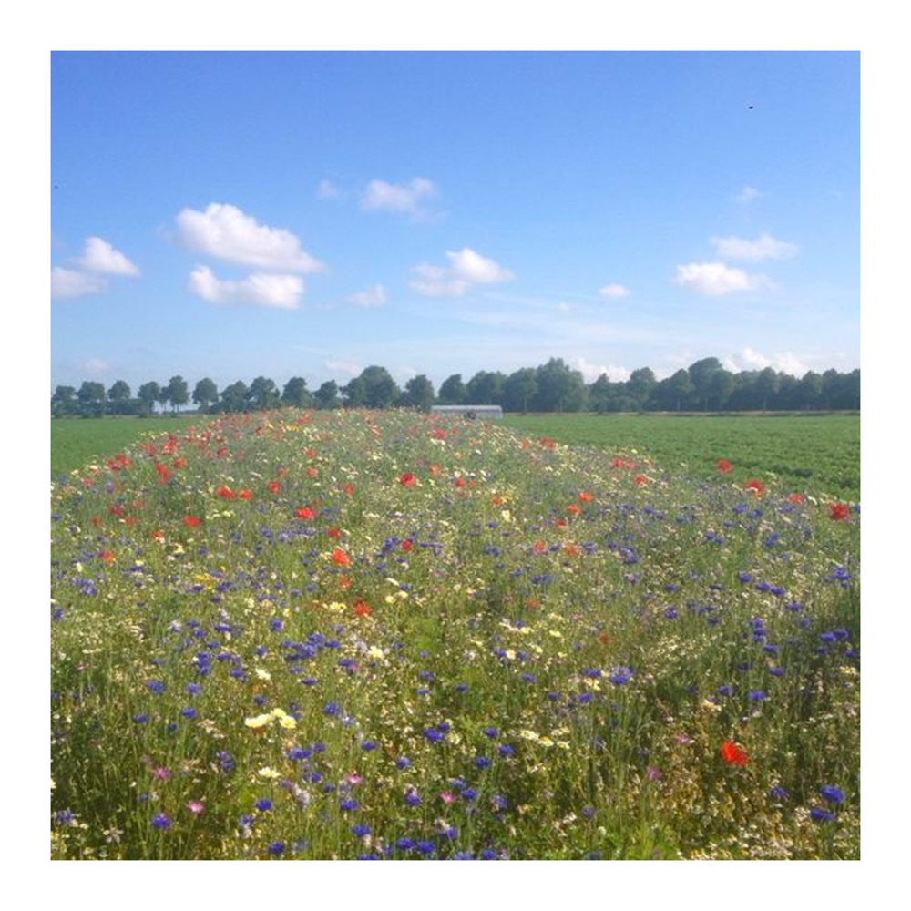  Functionele Agro Biodiversiteit (FAB) Mengsel