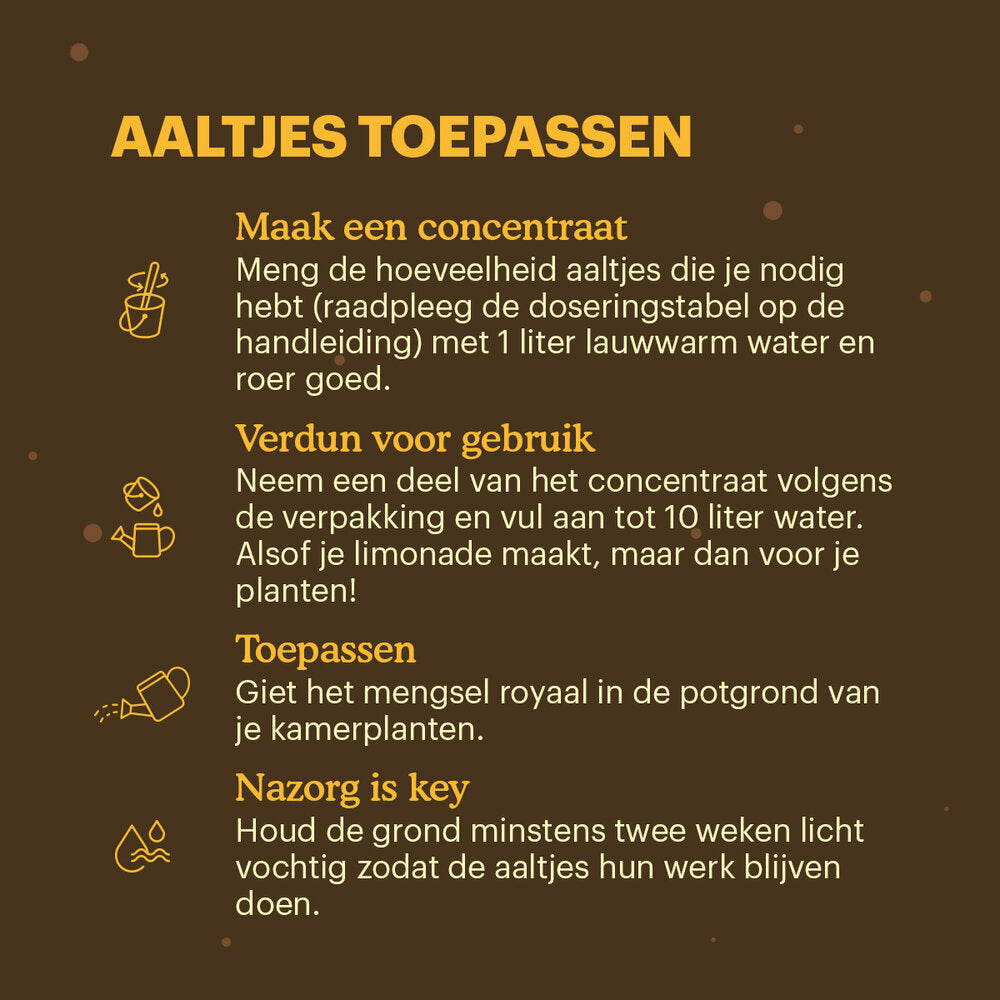  Aaltjes Tegen Rouwvliegjes (Steinernema Feltiae)