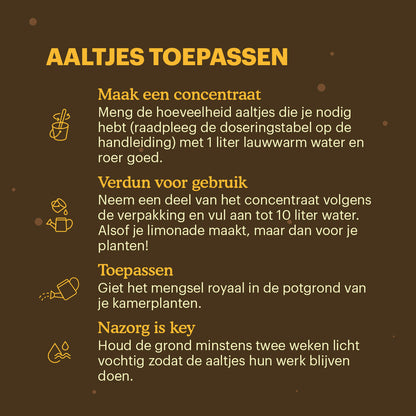  Aaltjes Tegen Rouwvliegjes (Steinernema Feltiae)