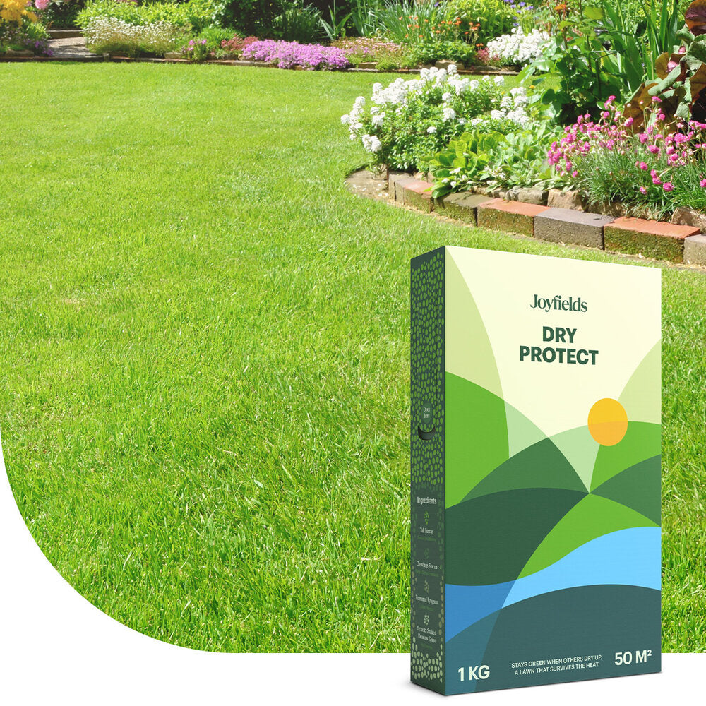  Dry Protect – Droogtebestendig Graszaad
