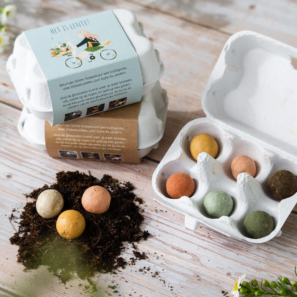  Cadeau Eierdoosje 'Het Is Lente' - 6 Zaadbolletjes