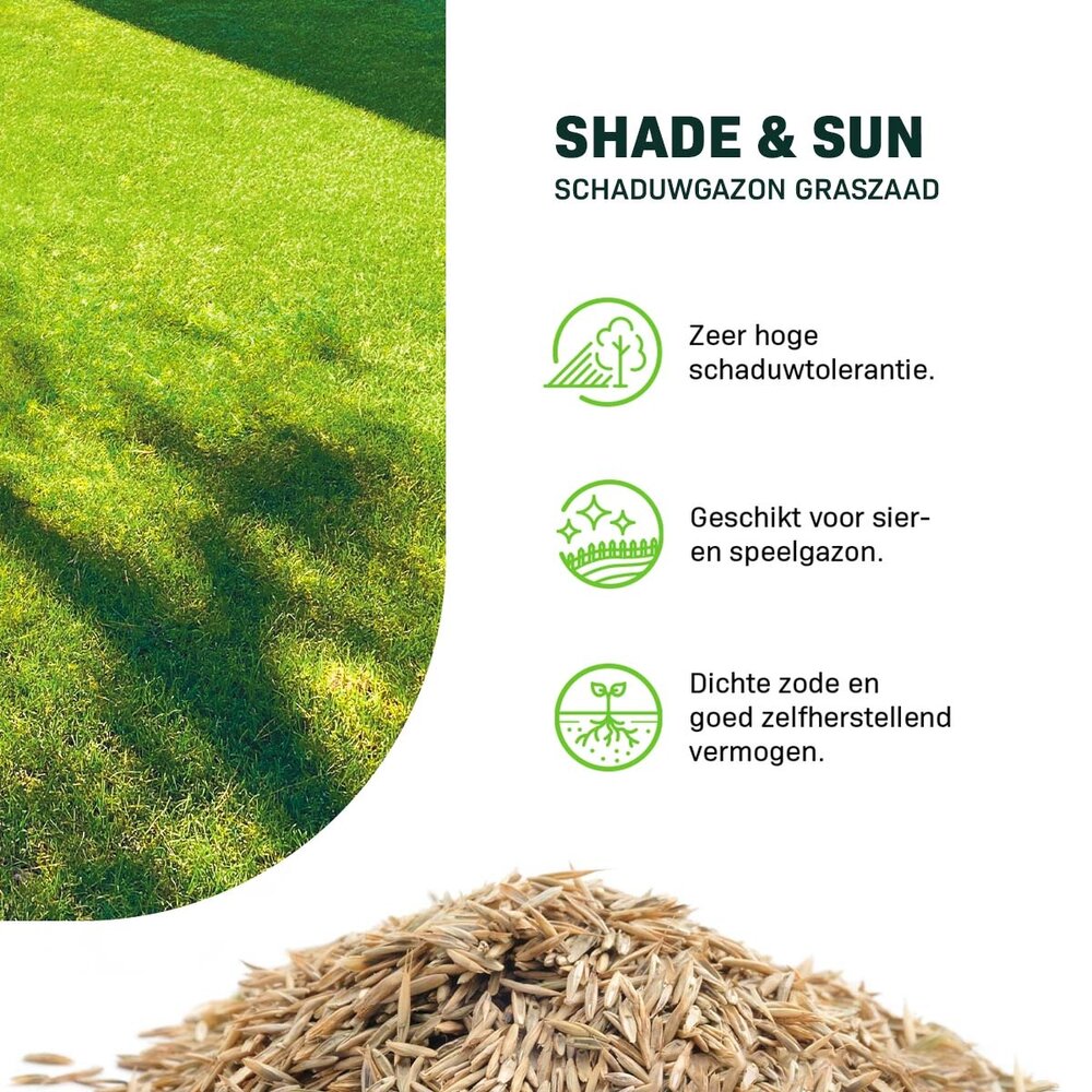  Shade & Sun - Schaduwgazon Graszaad