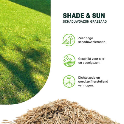  Shade & Sun - Schaduwgazon Graszaad
