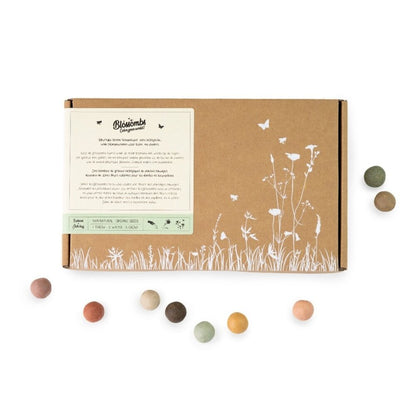  Giftbox Large Zaadbolletjes - 9 Stuks