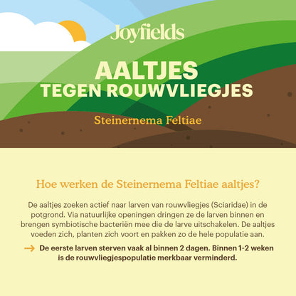 Aaltjes Tegen Rouwvliegjes (Steinernema Feltiae)