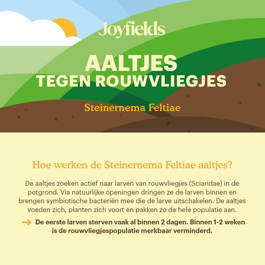  Aaltjes Tegen Rouwvliegjes (Steinernema Feltiae)